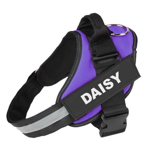 Unveiling the Benefits of Personalised Dog Harnesses