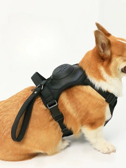 Unleash Comfort and Control: A Guide to the Best Dog Harnesses