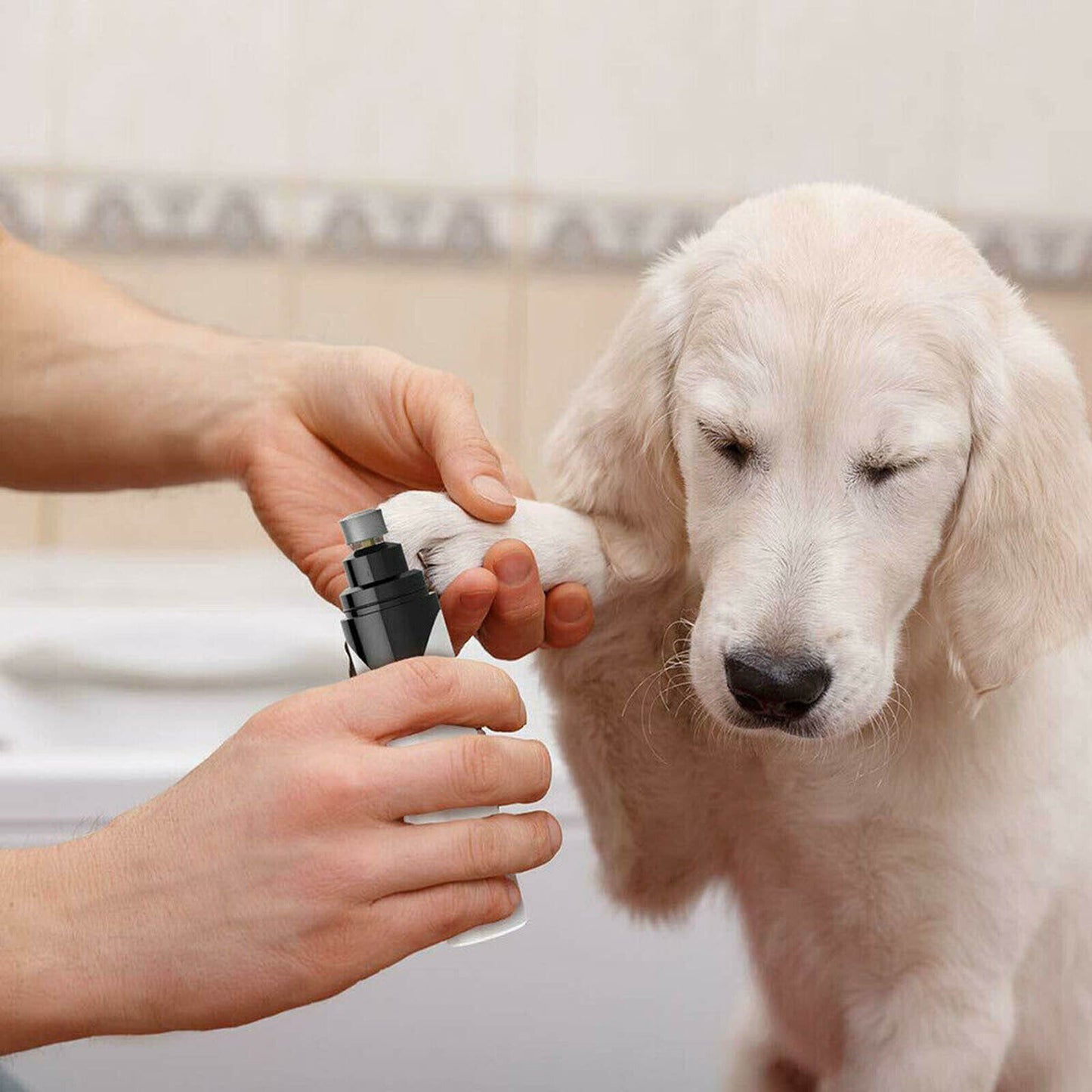 Portable Nail Grinder