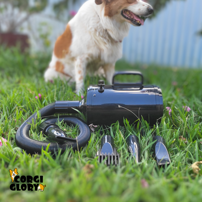 Premium Pet Blow Dryer