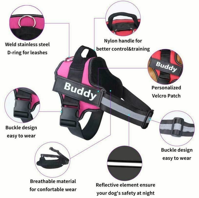 Personalised NO PULL Dog Harness