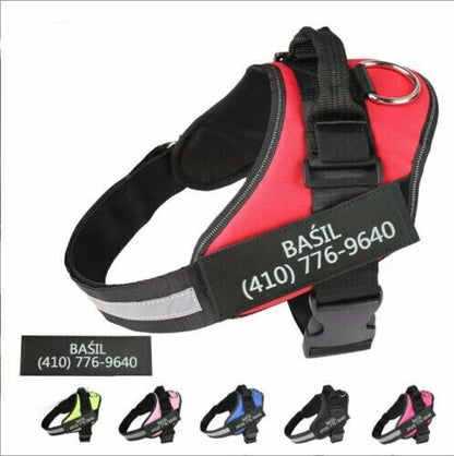 Personalised NO PULL Dog Harness