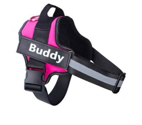 Personalised NO PULL Dog Harness