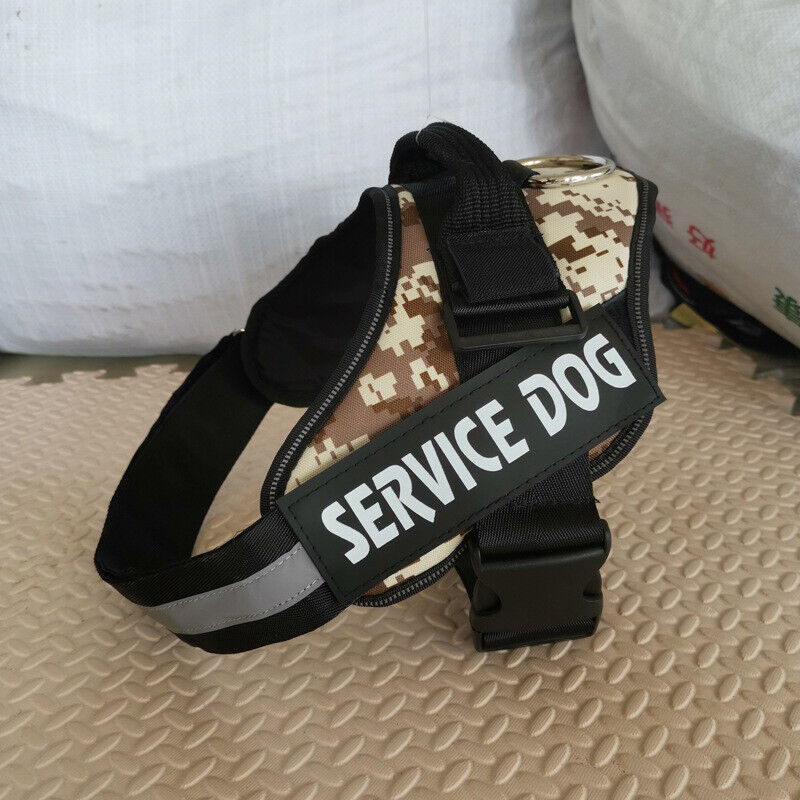 Personalised NO PULL Dog Harness