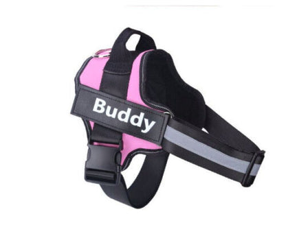 Personalised NO PULL Dog Harness