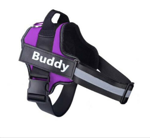 Personalised NO PULL Dog Harness